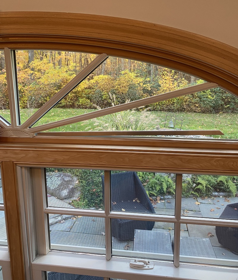 Grids cracked in Speciality Window
